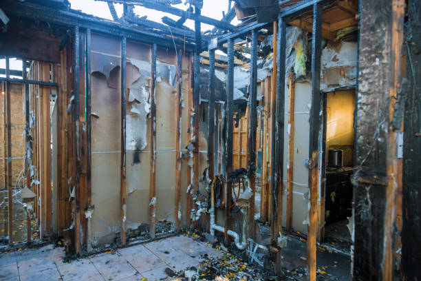 Professional Fire Damage Removal technician working in Arnold, CA